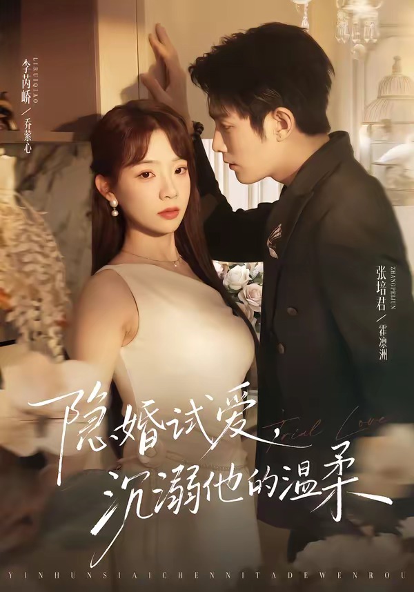 隐婚试爱，沉溺他的温柔封面图